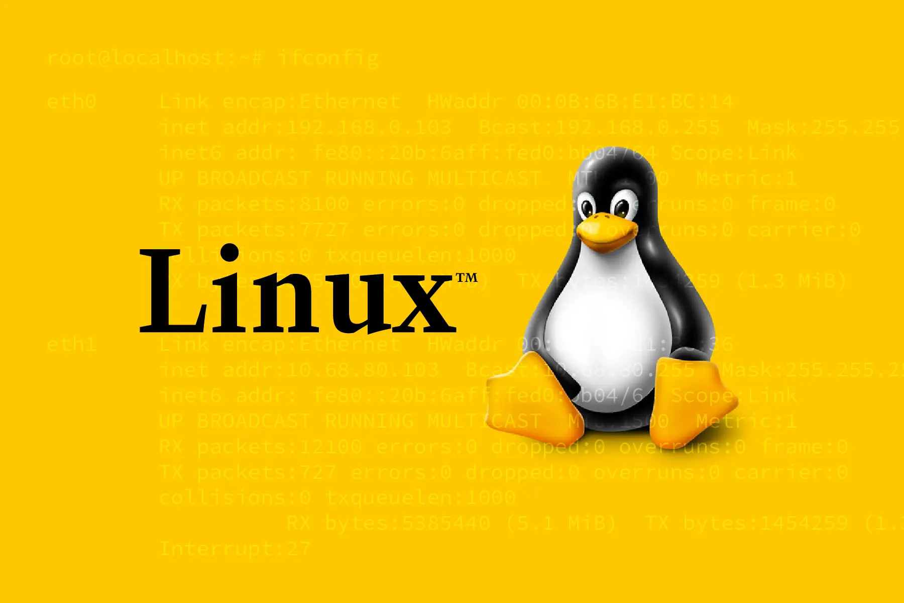 리눅스 명령어를 이용한 시스템 모니터링하기 | 와탭 블로그